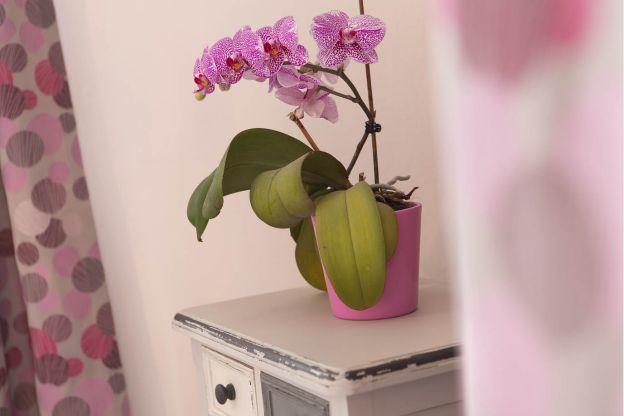 L'Hermine Spa Phòng bức ảnh